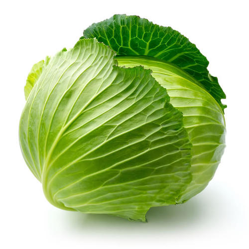 Nutritional value of Fresh Cabbage