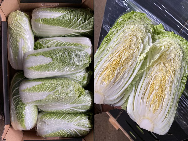 “Demand for Chinese cabbages is at a high point”
