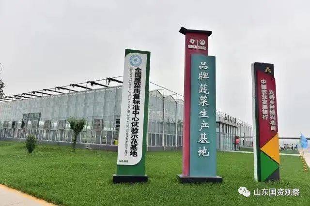 Innovative Agricultural Credit Guarantee, Shandong Agricultural Security Activates Rural Revitalization
