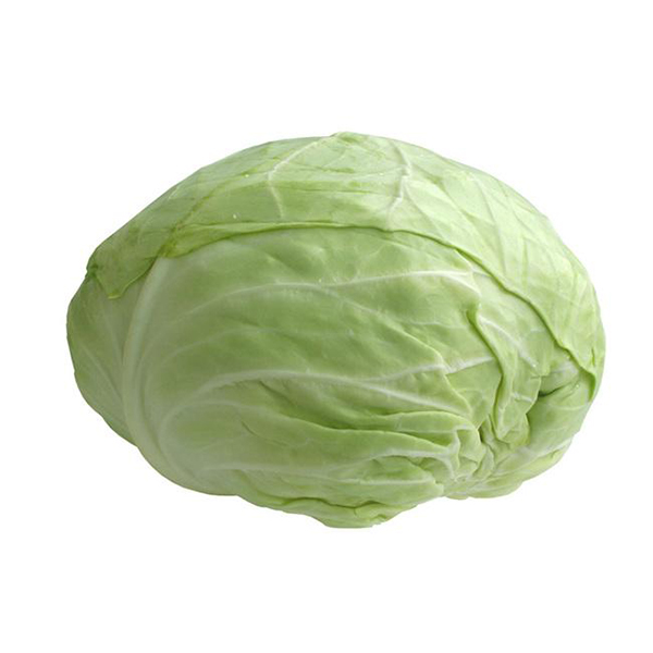 Fresh OKINA Cabbage