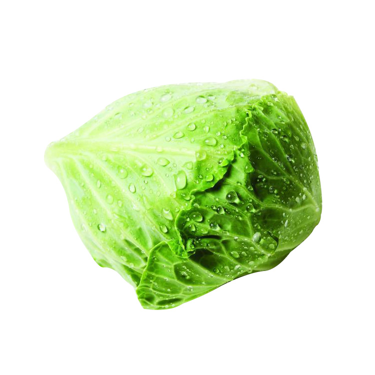 Green Fresh Cabbage