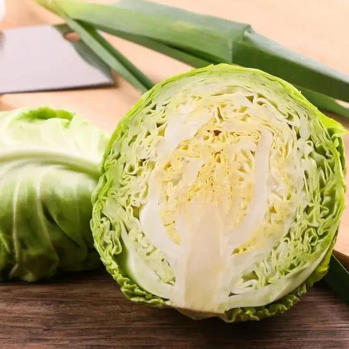 Round Fresh Cabbage